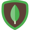 mongodb icon for website design and development